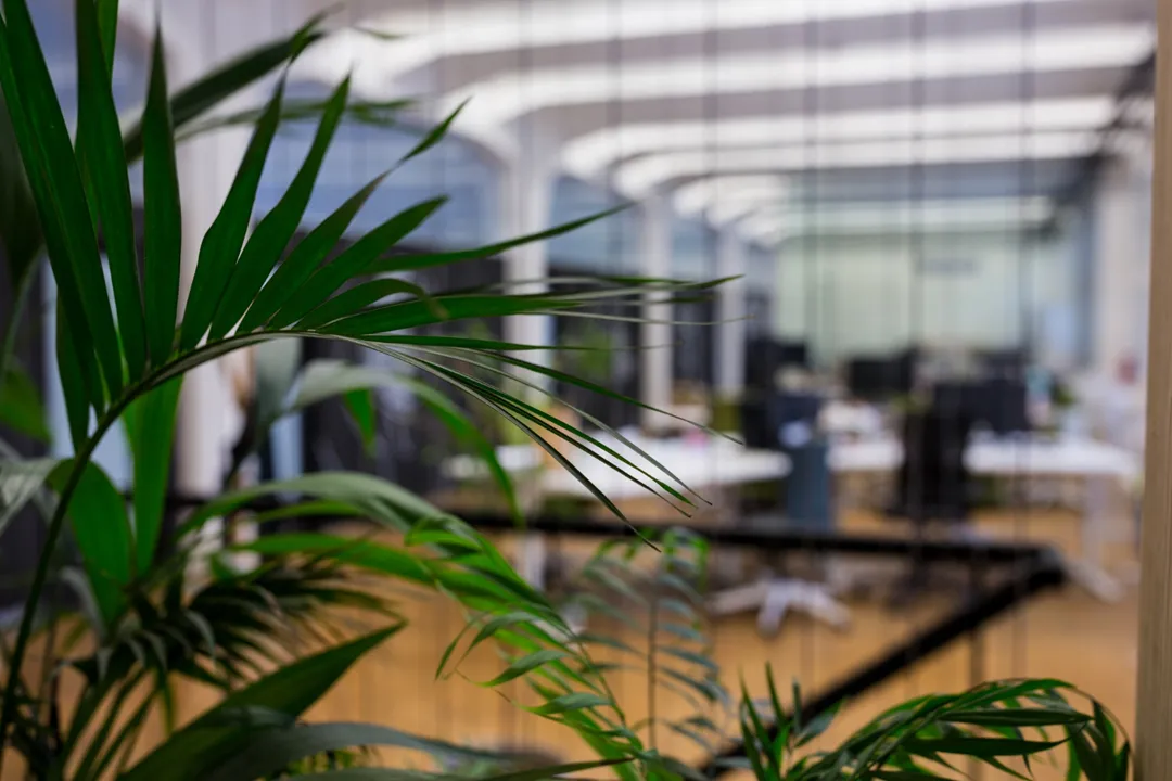 Commercial Fit-Outs
